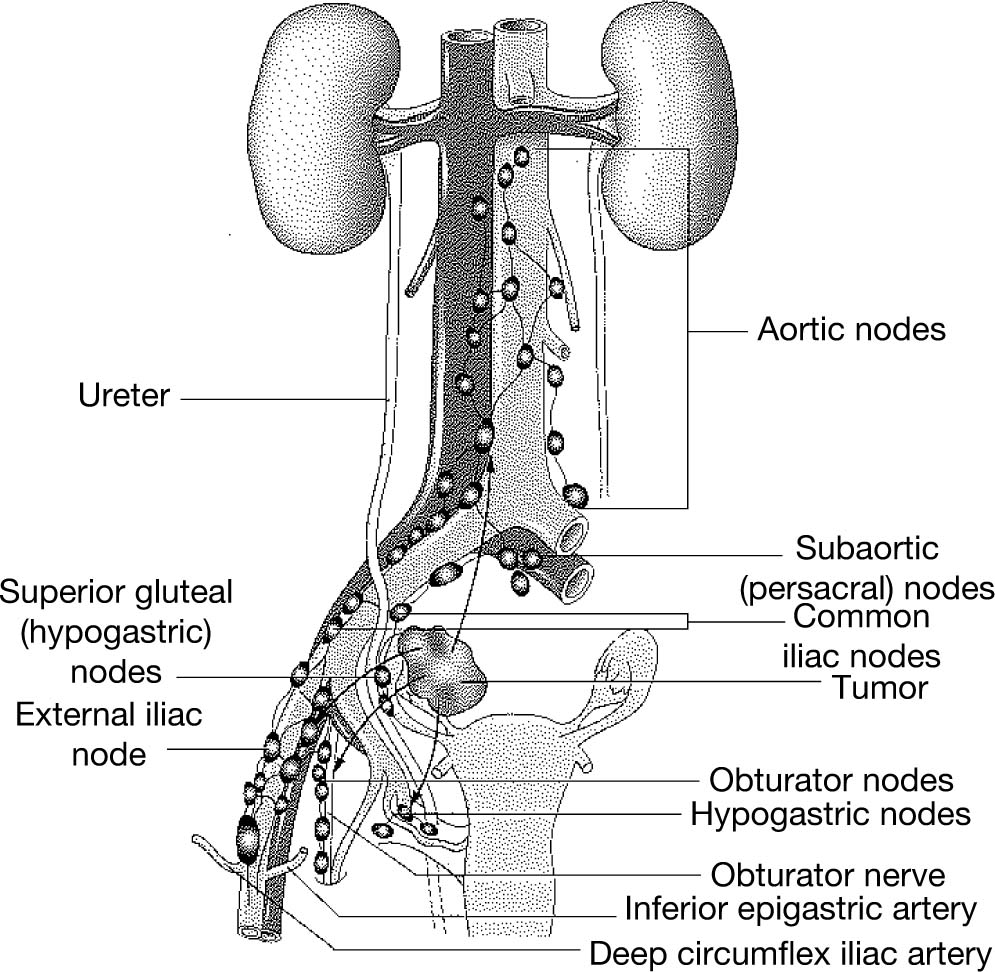 Procedures Obgyn Key 7908