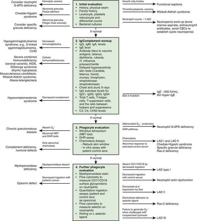 Disorders of Phagocyte Function | Obgyn Key