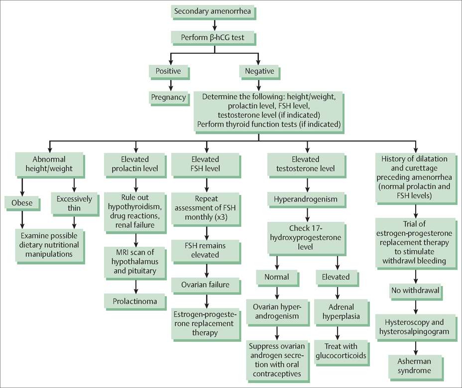 Amenorrhea and Dysfunctional Uterine Bleeding | Obgyn Key