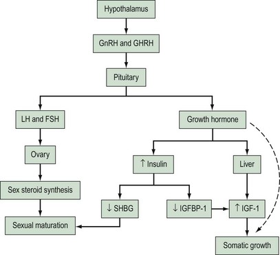 Disorders Of Puberty 