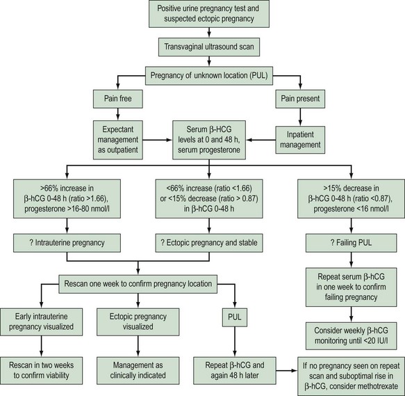 Ectopic Pregnancy | Obgyn Key