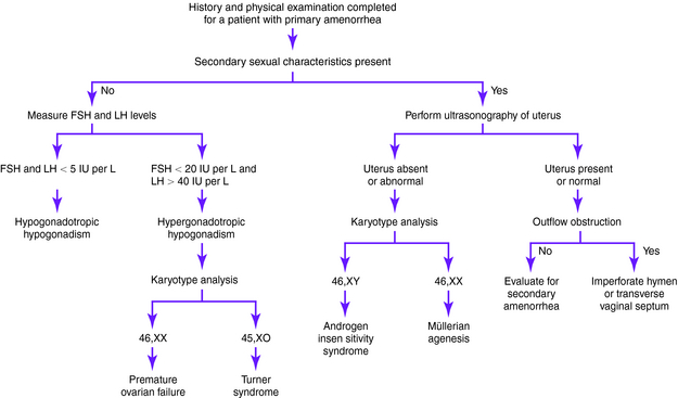 Amenorrhea Primary Obgyn Key