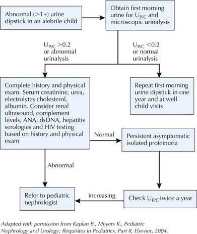 Hematuria And Proteinuria | Obgyn Key