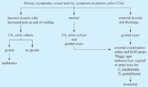 Vulvovaginal Complaints In The Adolescent | Obgyn Key