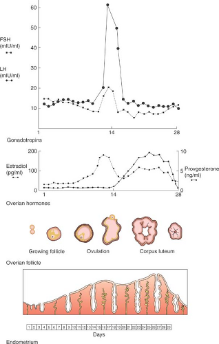 The Physiology Of Puberty | Obgyn Key