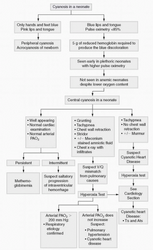 Neonatology | Obgyn Key