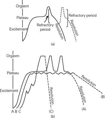 File:Phases of sexual arousal and female orgasm.png - Wikimedia