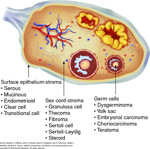 Epithelialer Ursprung 