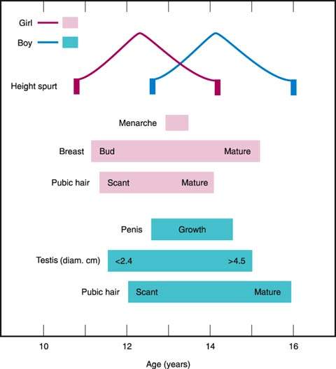 Puberty Obgyn Key Puberty Obgyn Key