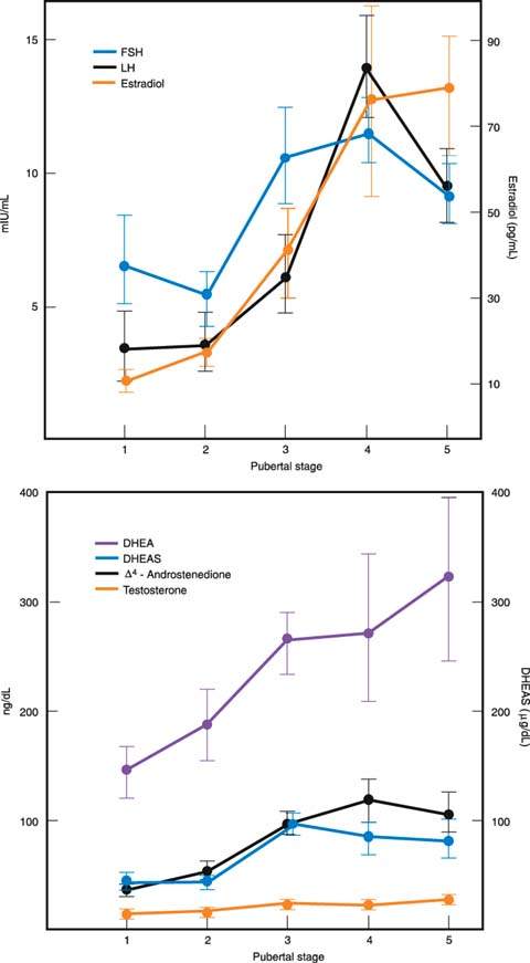 Puberty Obgyn Key 