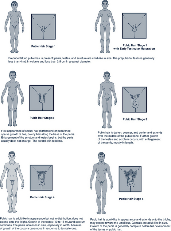 Developmental Management of Adolescents Obgyn Key