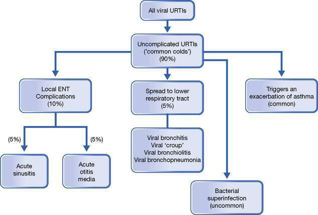 Acute upper respiratory infections | Obgyn Key