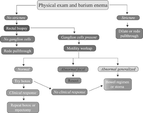 Hirschsprung’s Disease | Obgyn Key