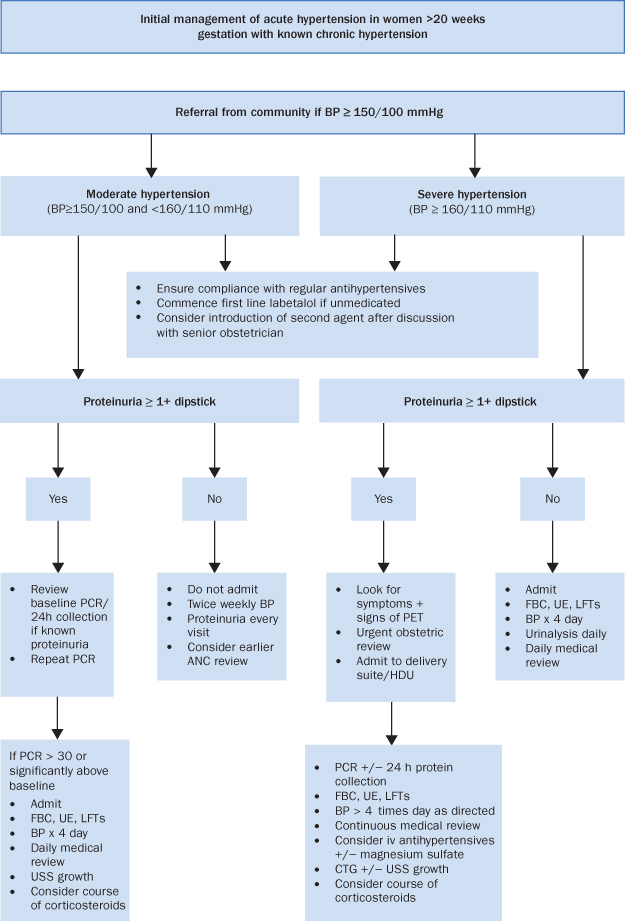 HYPERTENSIVE DISORDERS | Obgyn Key