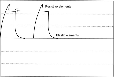 A187909_1_En_11_Fig12_HTML.jpg