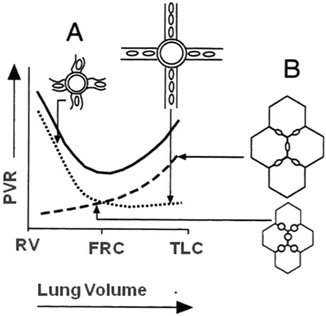 A187909_1_En_13_Fig9_HTML.gif