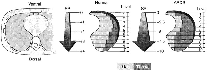 A187909_1_En_14_Fig10_HTML.jpg