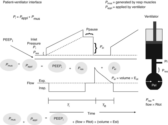 A187909_1_En_15_Fig1_HTML.jpg