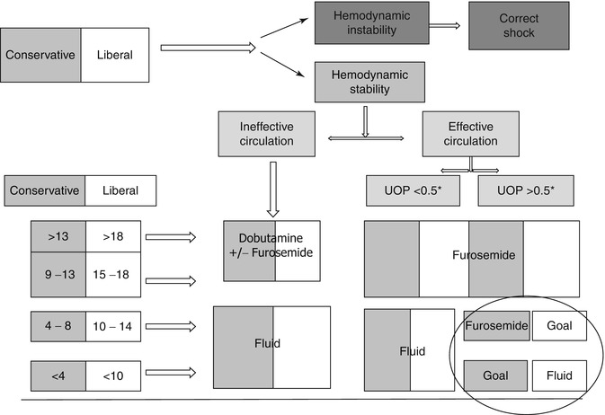 Fluid Management In The Ventilated Patient | Obgyn Key