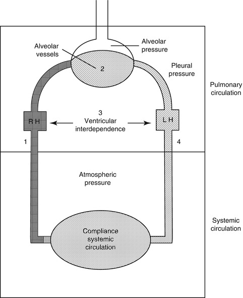 A187909_1_En_53_Fig1_HTML.jpg