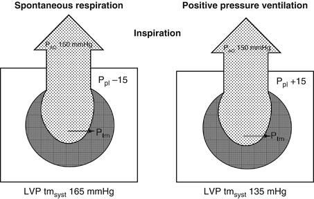 A187909_1_En_53_Fig4_HTML.jpg