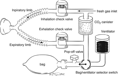 A187909_1_En_65_Fig3_HTML.jpg