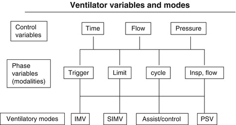 A187909_1_En_8_Fig11_HTML.jpg