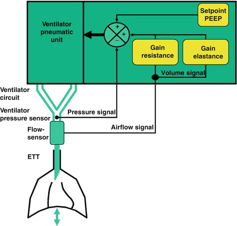 A187909_1_En_8_Fig25_HTML.jpg