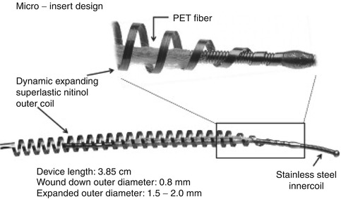 A304172_1_En_5_Fig9_HTML.jpg