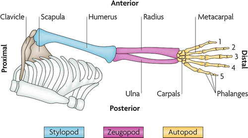 A316495_1_En_1_Fig1_HTML.gif