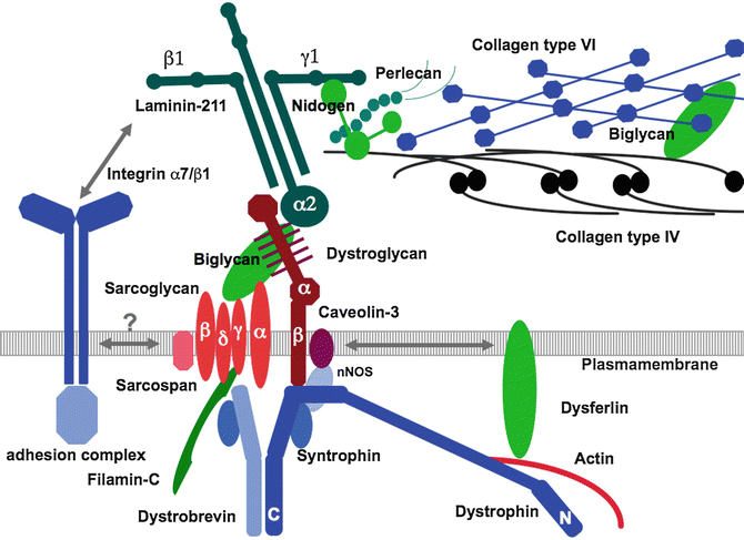 A316495_1_En_36_Fig1_HTML.gif