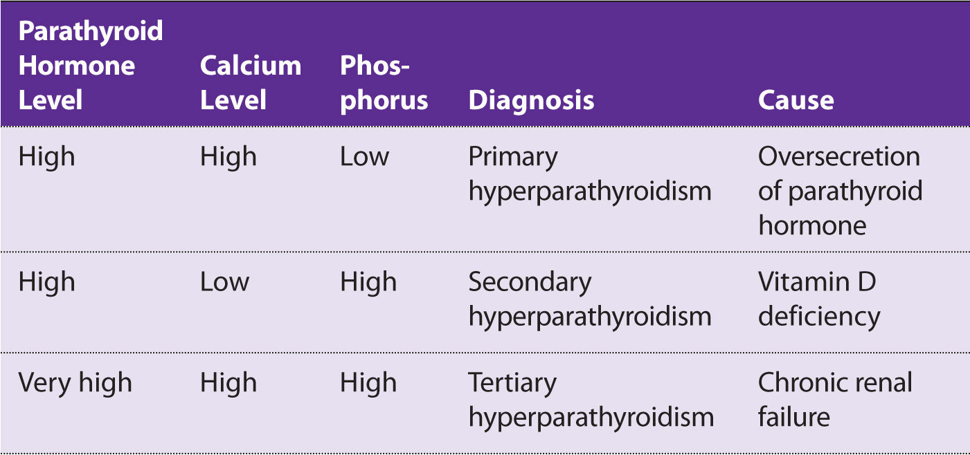 Endocrine Obgyn Key