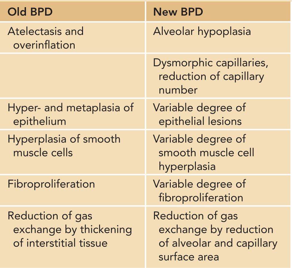 Is the New Definition of Bronchopulmonary Dysplasia More Useful?
