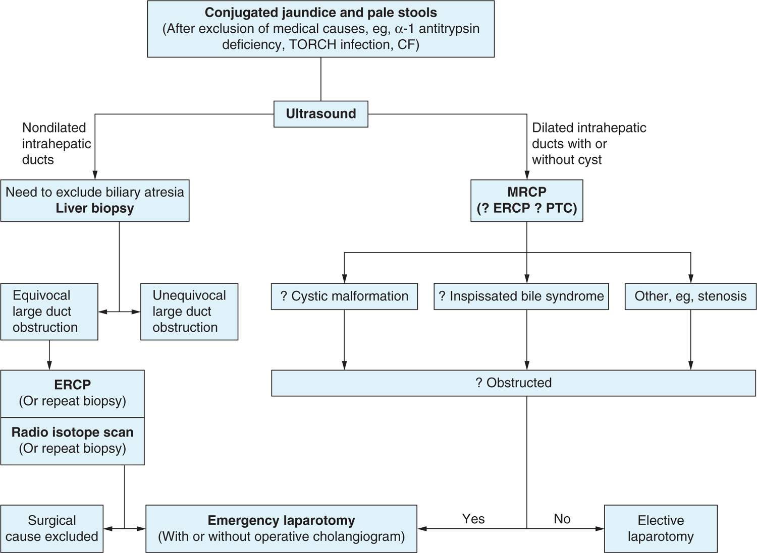 Definitive Diagnosis Of Biliary Atresia - bilmudah