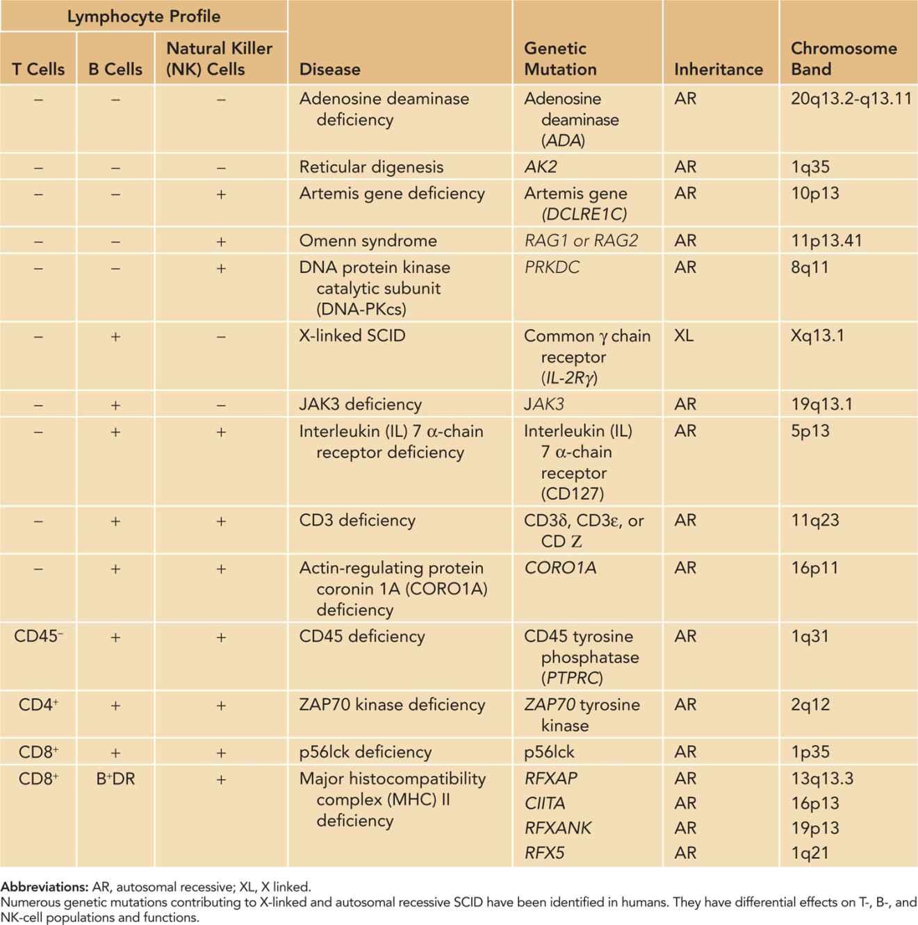 what gene is affected by scid