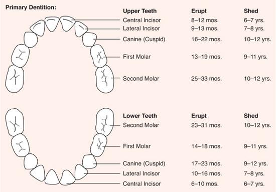 Aapd Caries Risk Chart