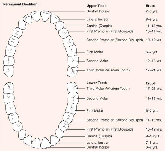 . Oral Health Supervision | Obgyn Key