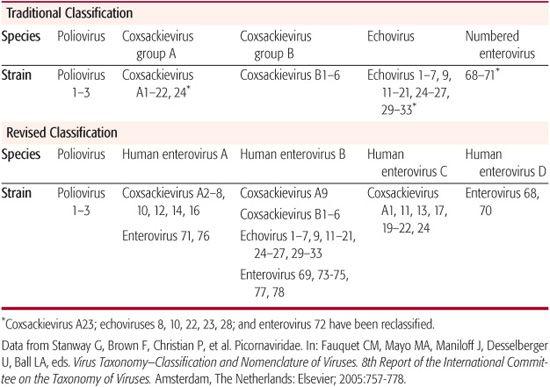 Enterovirus Infections Obgyn Key