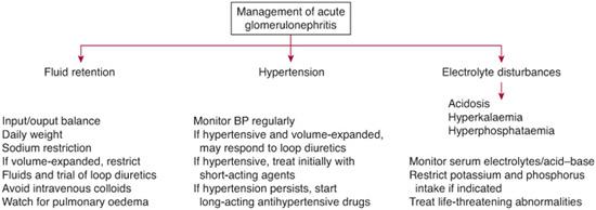 Glomerular Diseases | Obgyn Key