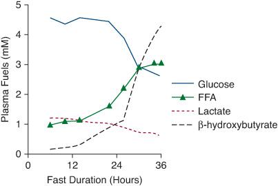 Fasting Hormones Synergistically Induce Amino Acid Catabolism Genes to  Promote Gluconeogenesis - ScienceDirect