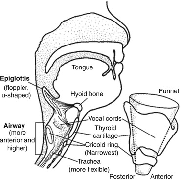 A318139_1_En_4_Fig1_HTML.jpg