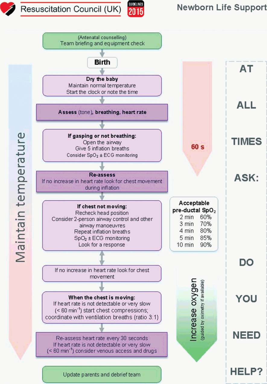 Resuscitation Of The Baby At Birth | Obgyn Key