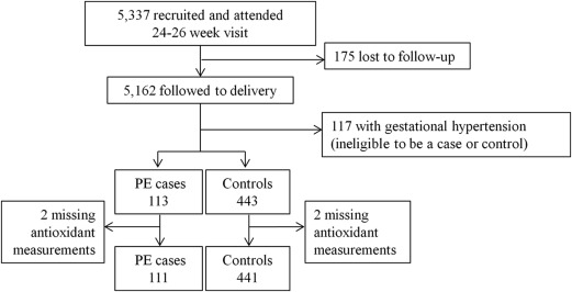 The Association Between Maternal Antioxidant Levels In Midpregnancy And ...