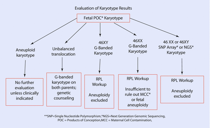 Recurrent Early Pregnancy Loss | Obgyn Key