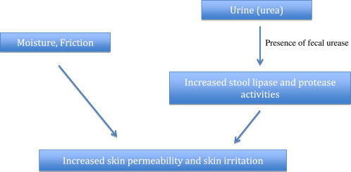 Diagnosis And Management Of Diaper Dermatitis | Obgyn Key