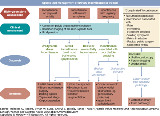 Urgency And Mixed Urinary Incontinence | Obgyn Key