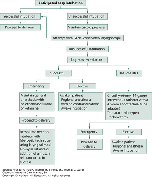 Anesthesia For The Complicated Obstetric Patient | Obgyn Key