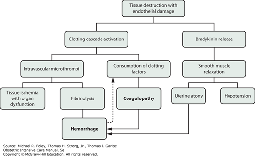 Postpartum Hemorrhage | Obgyn Key