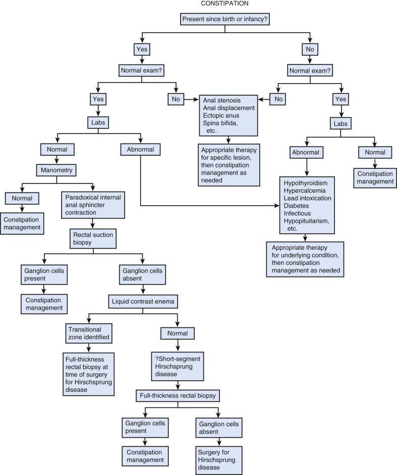 Constipation | Obgyn Key