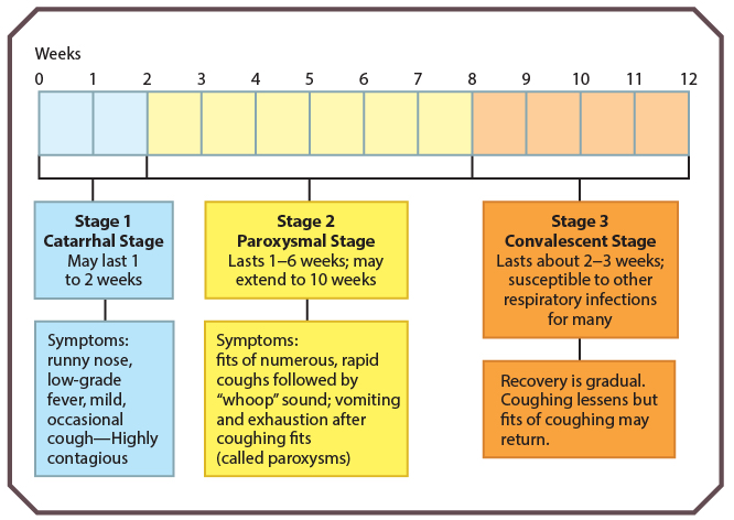 Pertussis | Obgyn Key